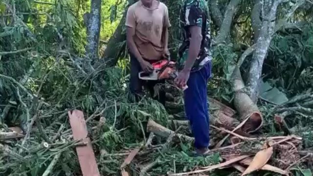 Aksi Ilegal Logging di Kawasan Register 38 Gunung Balak Lampung Timur, Pelaku Pemain Lama