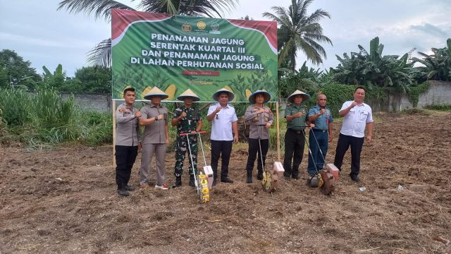 Wakil Wali Kota Randito Maringka Bersama Forkopimda Tanam Jagung Guna Dukung Program Pangan Nasional