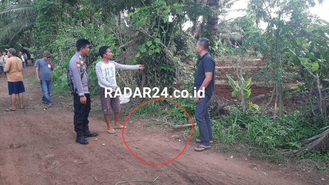 Duel Berdarah di Lampung Timur, Warga Tantang Kades One By One