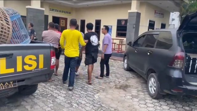 Gerebek Judi Sabung Ayam di Lampung Timur, Polisi Tangkap 4 Orang