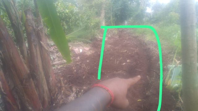 Ditegur Rusak Batas Tanah Pria di Sekampung Udik Lampung Timur Aniaya Tetangga Berujung ke Polisi