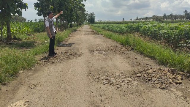 Jalan Poros Kabupaten di Negara Nabung Lampung Timur Rusak Parah, Warga Minta Bupati Turun Tangan