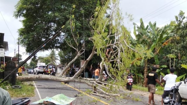 Perkembangan Situasi dan Penanganan Bencana di Indonesia per 4 April 2026