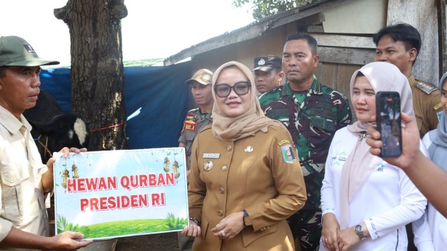 Bupati Lampung Timur Serahkan Hewan Kurban dari Presiden Prabowo di Desa Pugung Rahardjo
