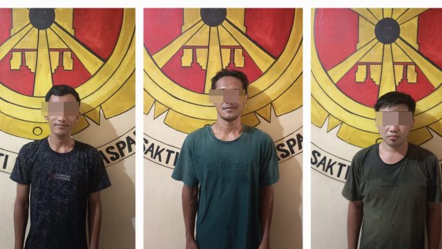 Maling Buah Sawit di PT GMP, 2 Warga Lamteng dan 1 Warga Sumut Ditangkap Polisi