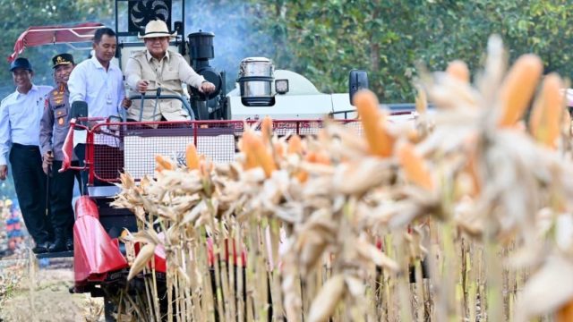 Polri Pamer Panen Jagung dan Dapur MBG, Presiden Prabowo Siapkan Penghargaan Tertinggi
