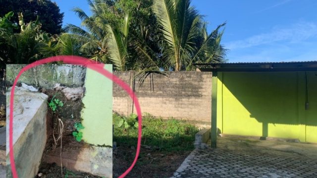 Bau Menyengat dan Limbah Meresap ke Sekolah, Warga dan SMK Yanikma Protes Keberadaan Kandang Babi di Lampung Timur