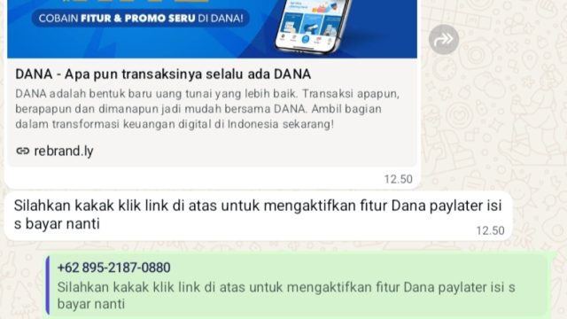 Modus Baru Penipuan Daring: Lewat Tampilan Slide Aplikasi Pembayaran, Saldo Langsung Terkuras