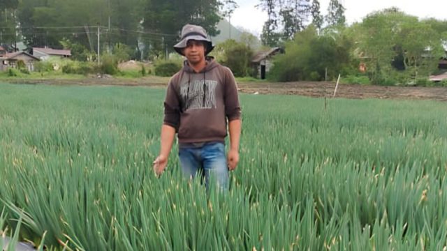 Herry Palawija: Tokoh Inspiratif Petani Milenial dan Pengusaha Pertanian