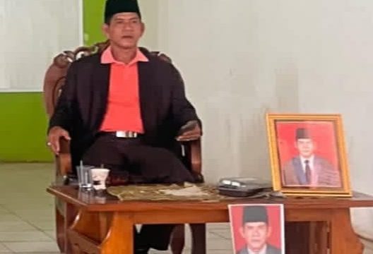 Pemilihan Kepala Desa Bumi Jawa Lampung Timur, Haidir Menang Ungguli Aprizal
