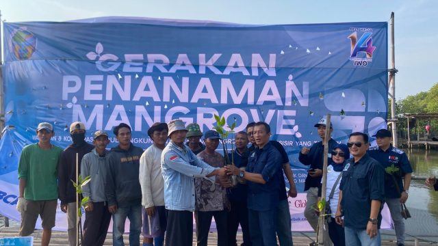 Peduli Lingkungan, IWO Tanam 1.400 Pohon Mangrove di Tanjung Pasir Tanggerang