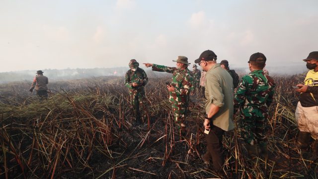 Presiden Prabowo Instruksikan Pemadaman Karhutla di Way Kambas