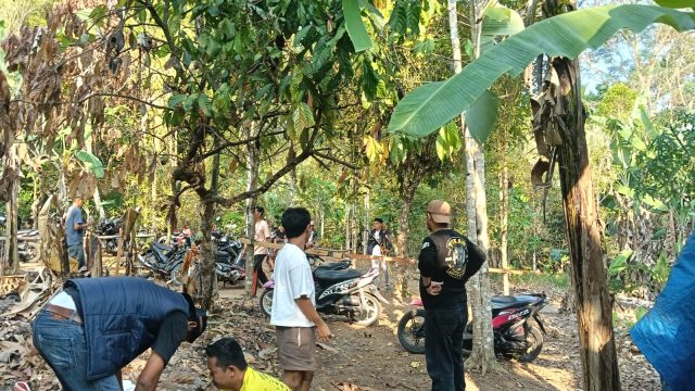 Kocar-kacir Polisi Gerebek Judi Sabung Ayam di Lampung Selatan