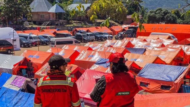 Pekan Ketiga Pascagempa NTT, Pemerintah Alihkan Fokus ke Pemulihan dan Pendidikan