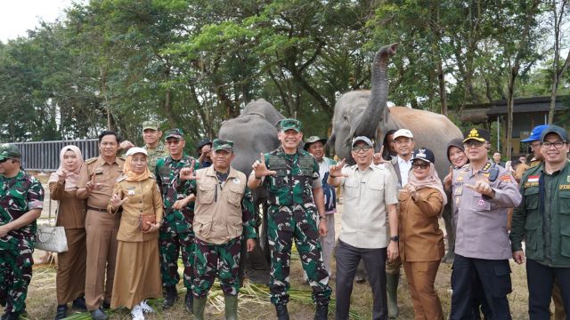 Kunjungi Taman Nasional Way Kambas, Gubernur dan Pangdam Pastikan Gajah Tidak Terdampak Kebakaran