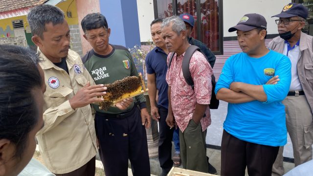 Cegah Gajah Keluar Kawasan Konservasi, Komite Mitigasi Integrasikan Pagar Lebah dan Pemberdayaan Warga Desa Penyangga
