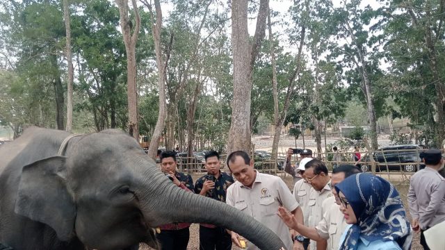 Komisi IV DPR RI Ingatkan Way Kambas Tak Boleh Sekadar Dipadamkan