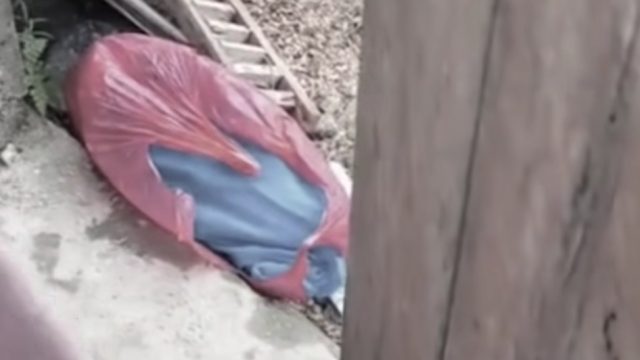 Anggota DPRD Lampung Timur Diperiksa Polisi Terkait Bayi dalam Kantong Plastik di Sukadana