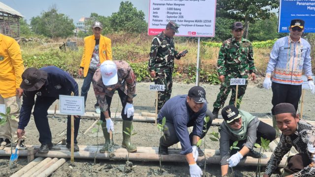 PHE OSES Kembangkan Demplot Mangrove di Lampung Timur, Perkuat Kolaborasi Pelestarian Pesisir
